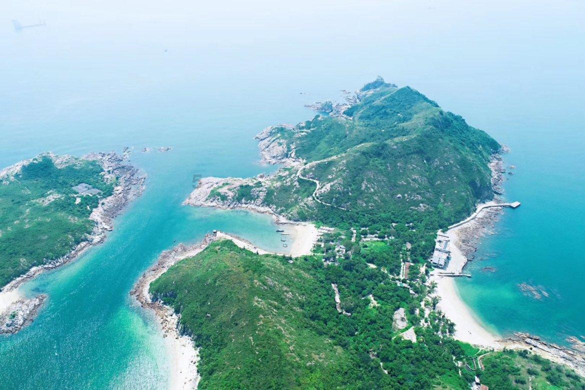 浦江薛先生在街头捡到一只鸟…